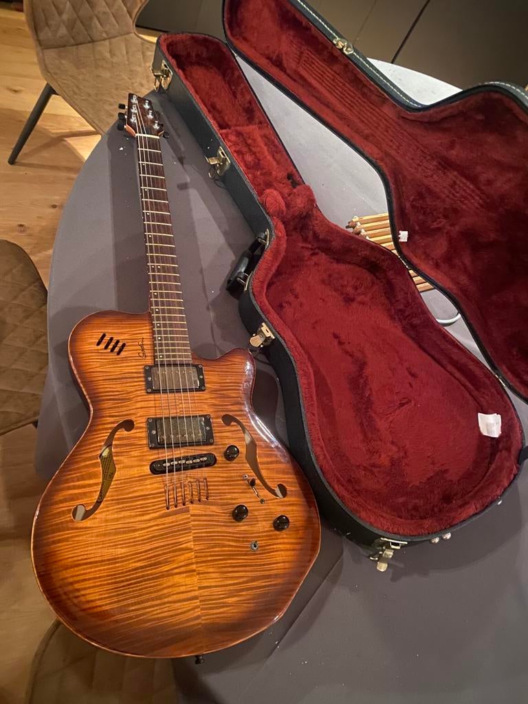 Unieke Godin hollowbody, Musique & Instruments, Enlèvement, Comme neuf