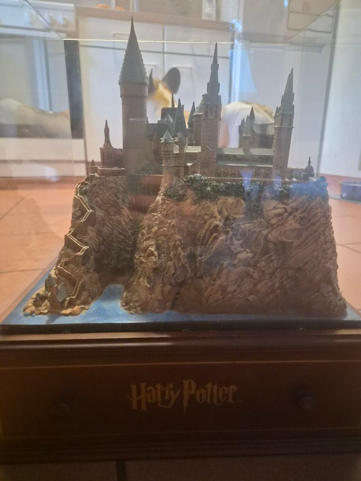 Harry Potter Hogwarts Castle – Collector’s Edition, Ophalen