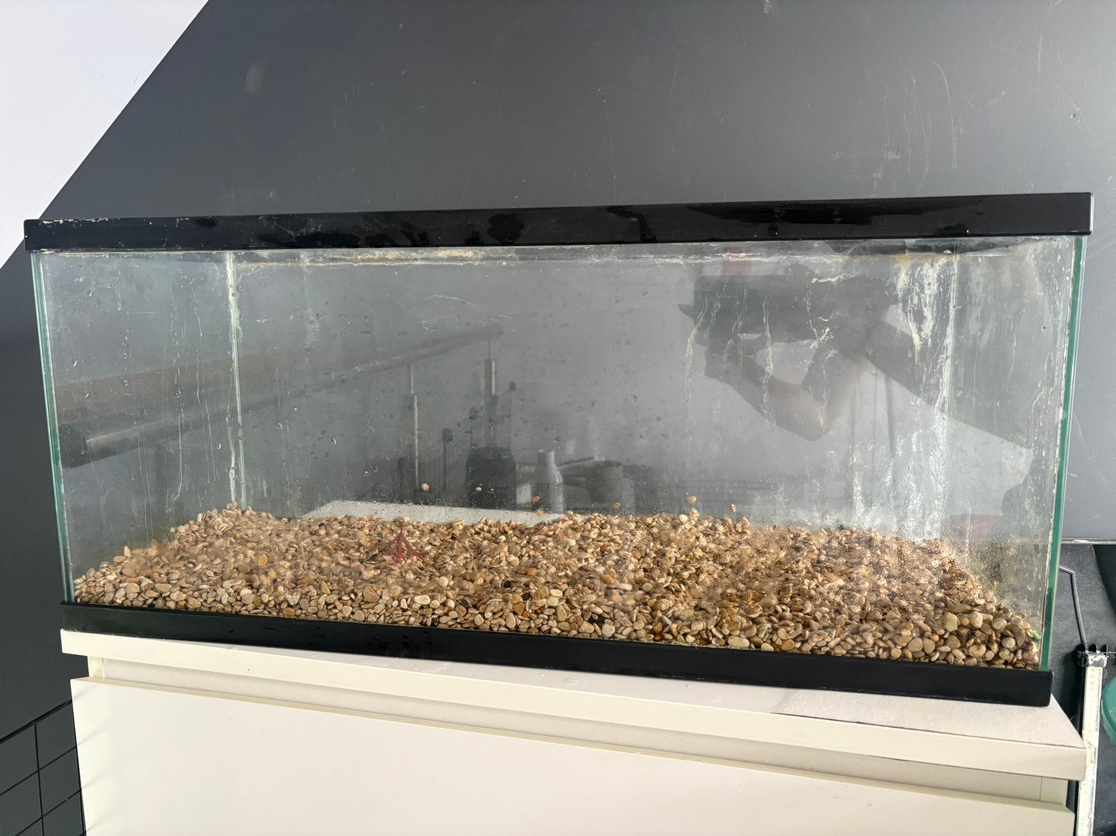 Vis aquarium, Ophalen, Inclusief toebehoren, Decoratie