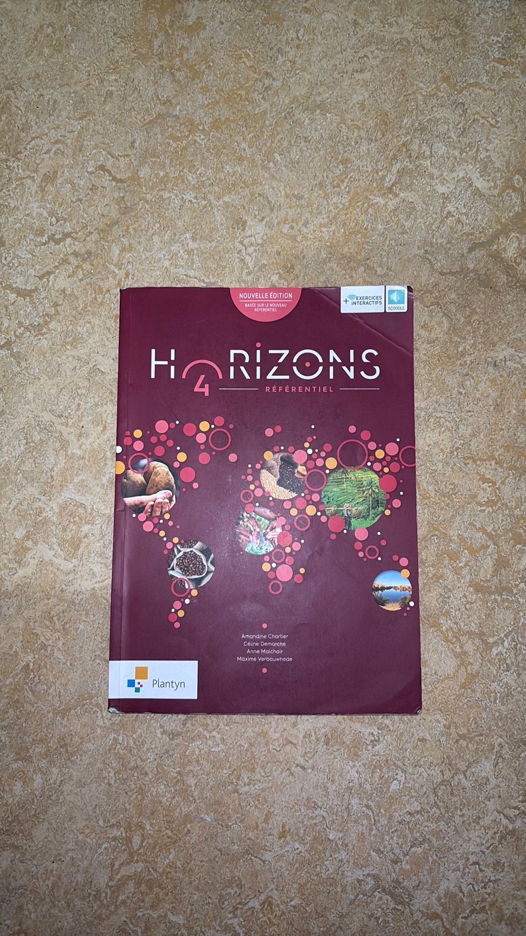 Horizons 4 Secundair werkboek (opslagplaats), Boeken, Verzenden, Zo goed als nieuw, BSO