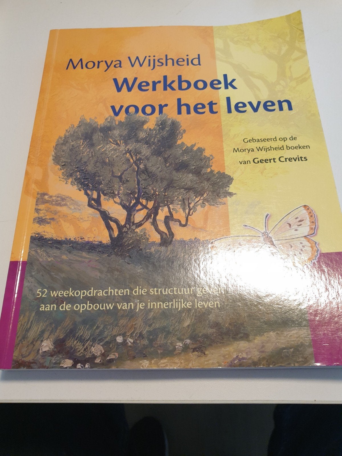 Morya Wijsheid - Morya wijsheid werkboek voor het leven, Boeken, Ophalen of Verzenden, Morya Wijsheid; Geert Crevits