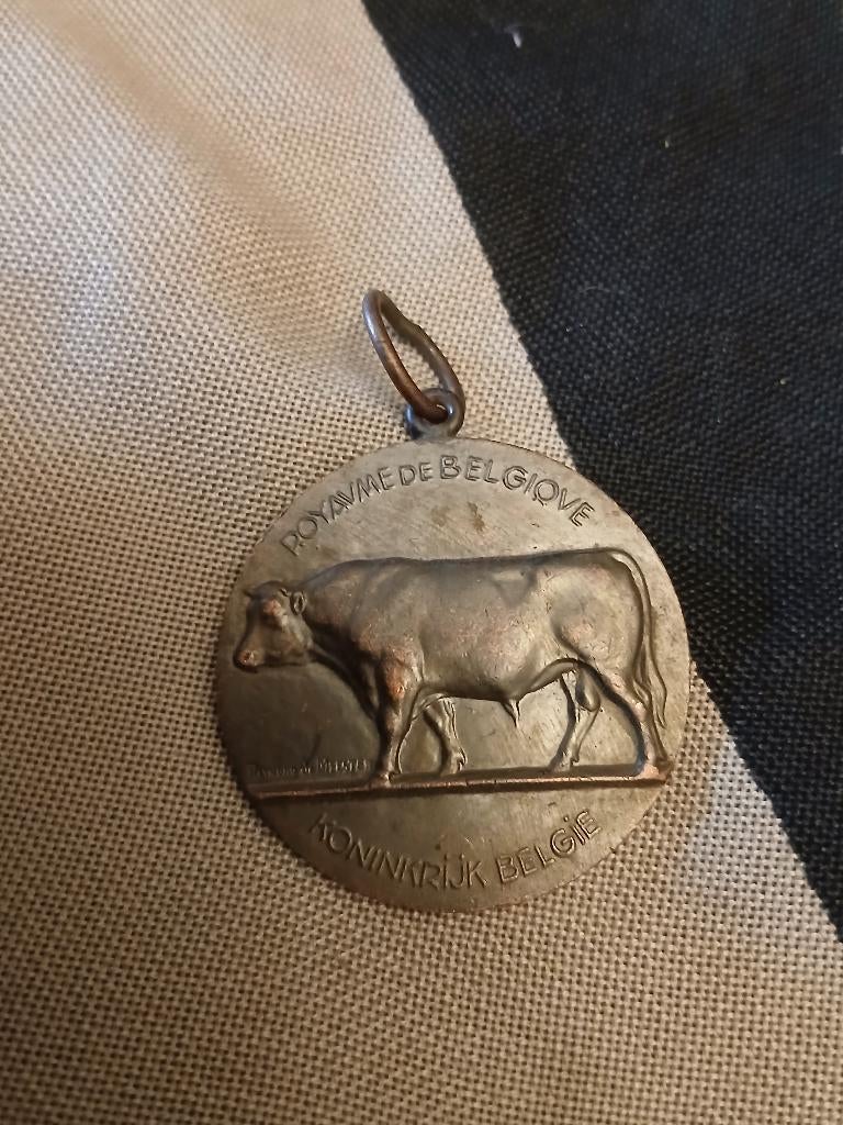 Medaille agriculture Hainaut bronze, Envoi, Bronze