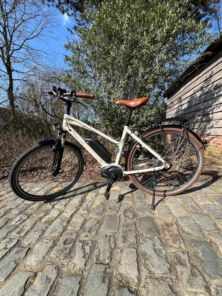 Fiets Riese müller, Fietsen en Brommers, Gebruikt, Versnellingen, 50 tot 53 cm, Ophalen