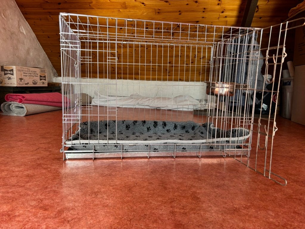 Hondenbench, Dieren en Toebehoren, Ophalen, Zo goed als nieuw