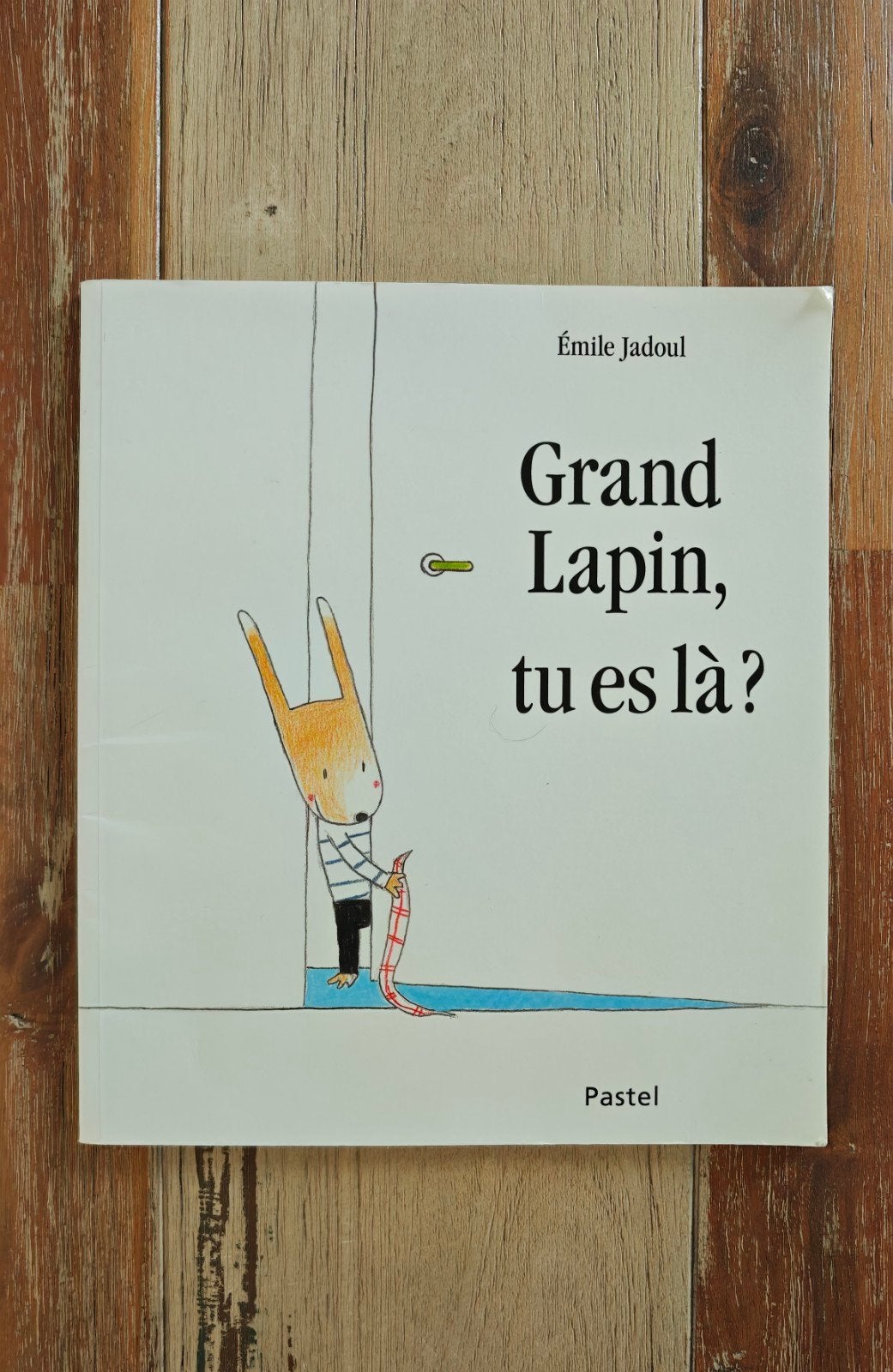 Grand lapin, tu es là ?, Ophalen of Verzenden, Gelezen