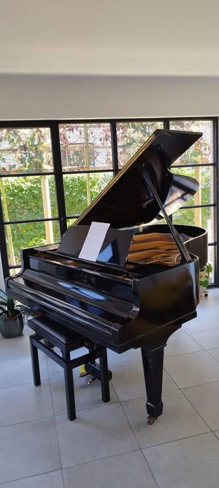 Piano à queue Yamaha G5 — Nippon Gakki 1965/1966, Brillant, Enlèvement, Utilisé, À queue