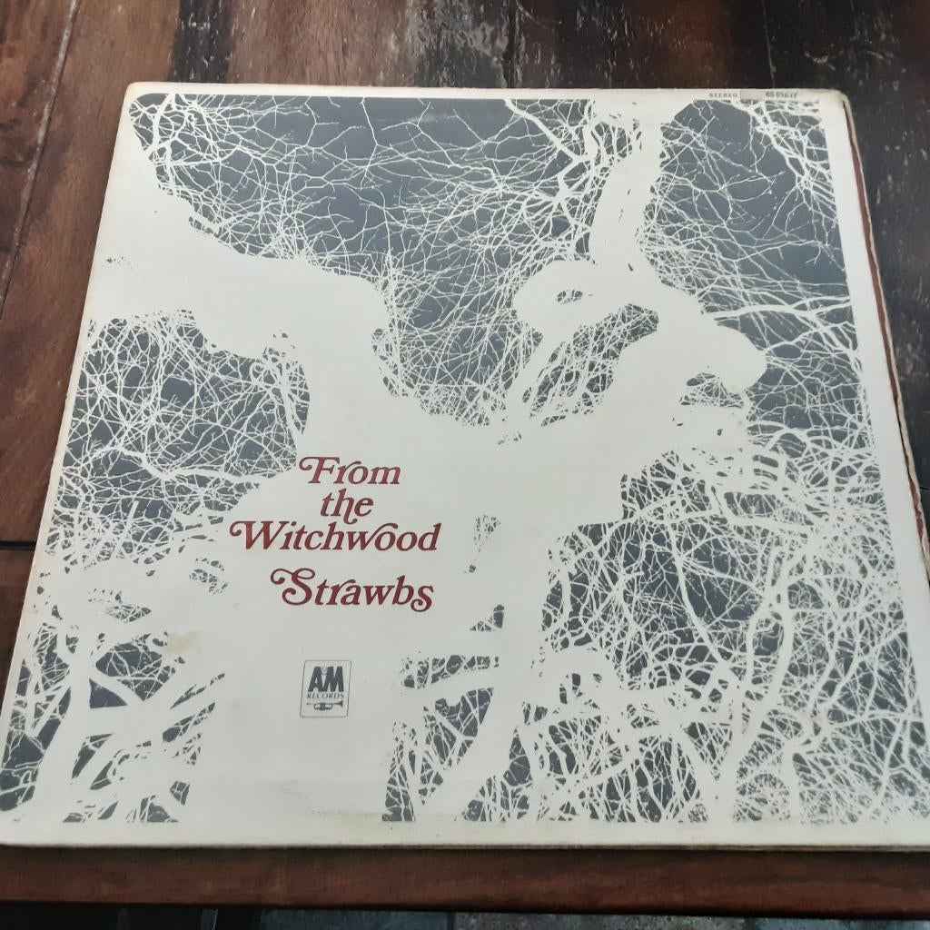 Strawbs – From The Witchwood, CD & DVD, Vinyles | Rock, Utilisé, Pochette gatefold, Progressif, 12 pouces, Envoi
