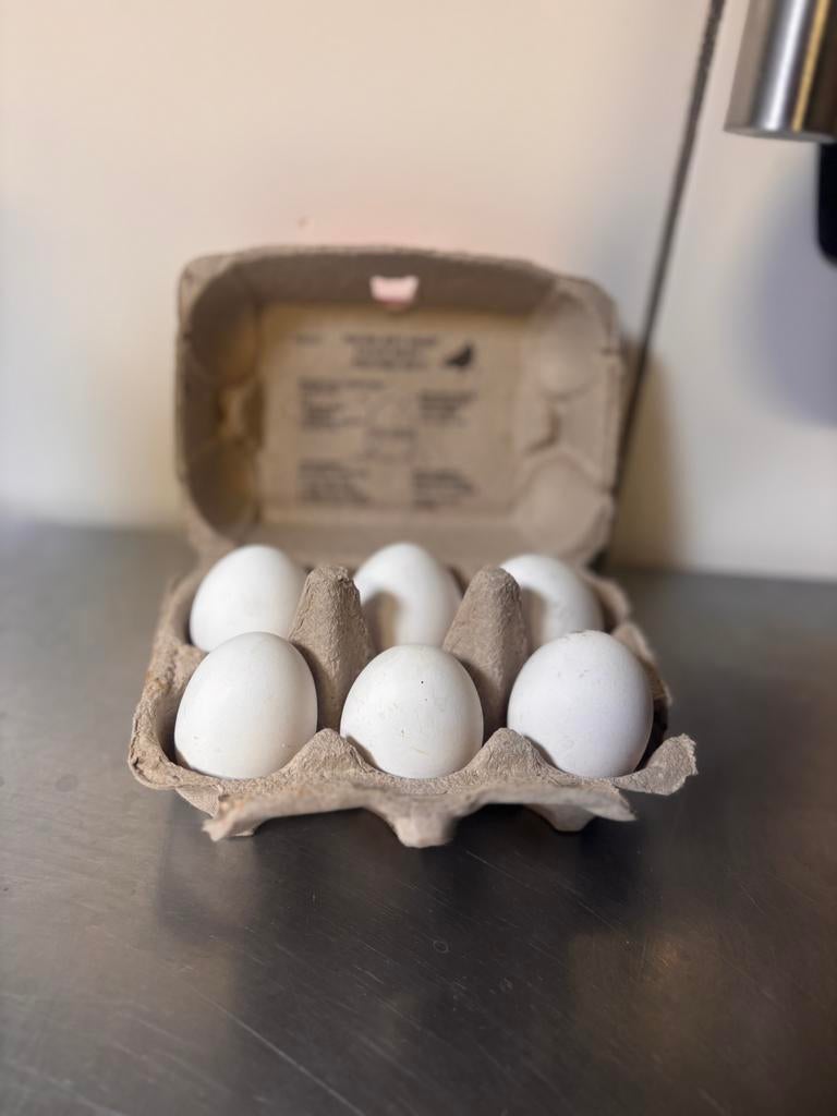 verse eieren witte leghorn, Diversen, Ophalen
