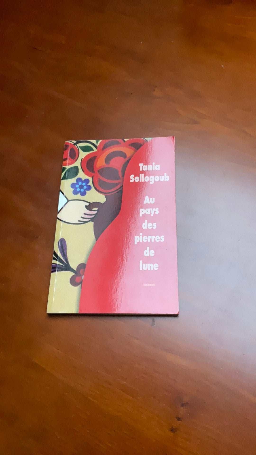 Au pays des pierres de lune, tania Sollogoub, Enlèvement ou Envoi, Comme neuf