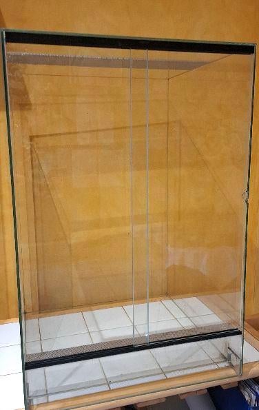 terrarium pour insectes, Phasme