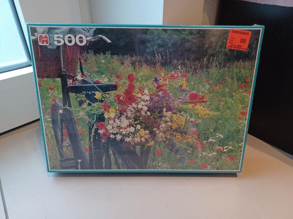 Puzzel van Jumbo, 500 stukken, Enlèvement