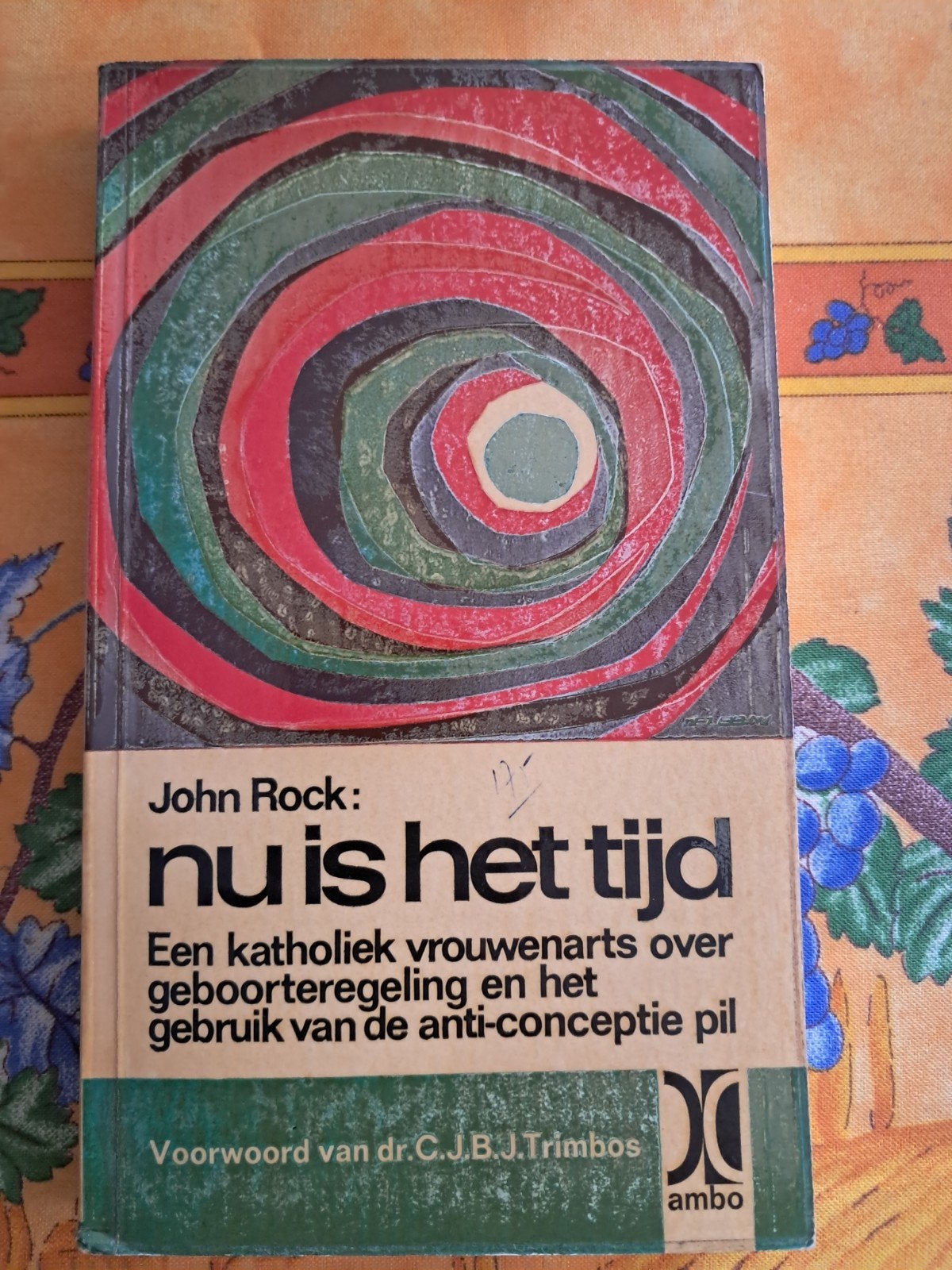 Boek "Nu is het tijd" van John Rock, Livres, Ésotérisme & Spiritualité, Enlèvement