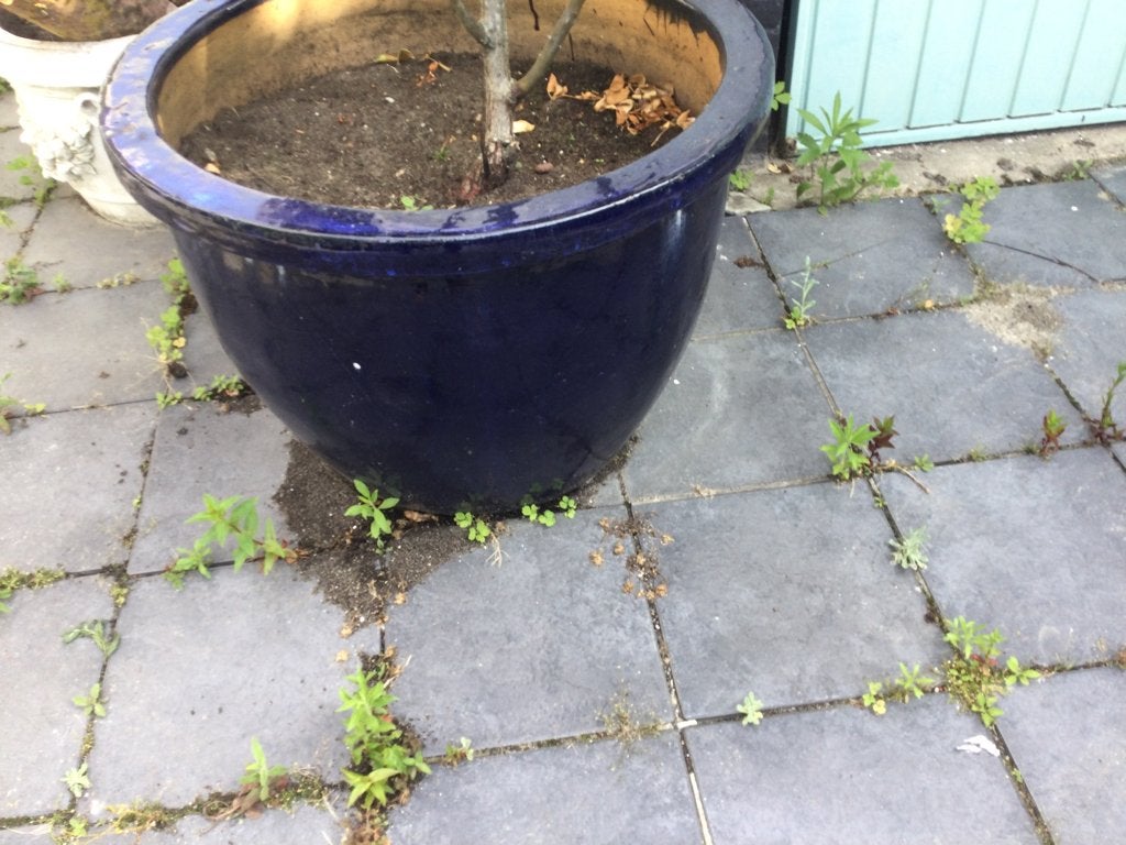 Bloempot – keramisch gekleurd – 52 x 58, Ophalen