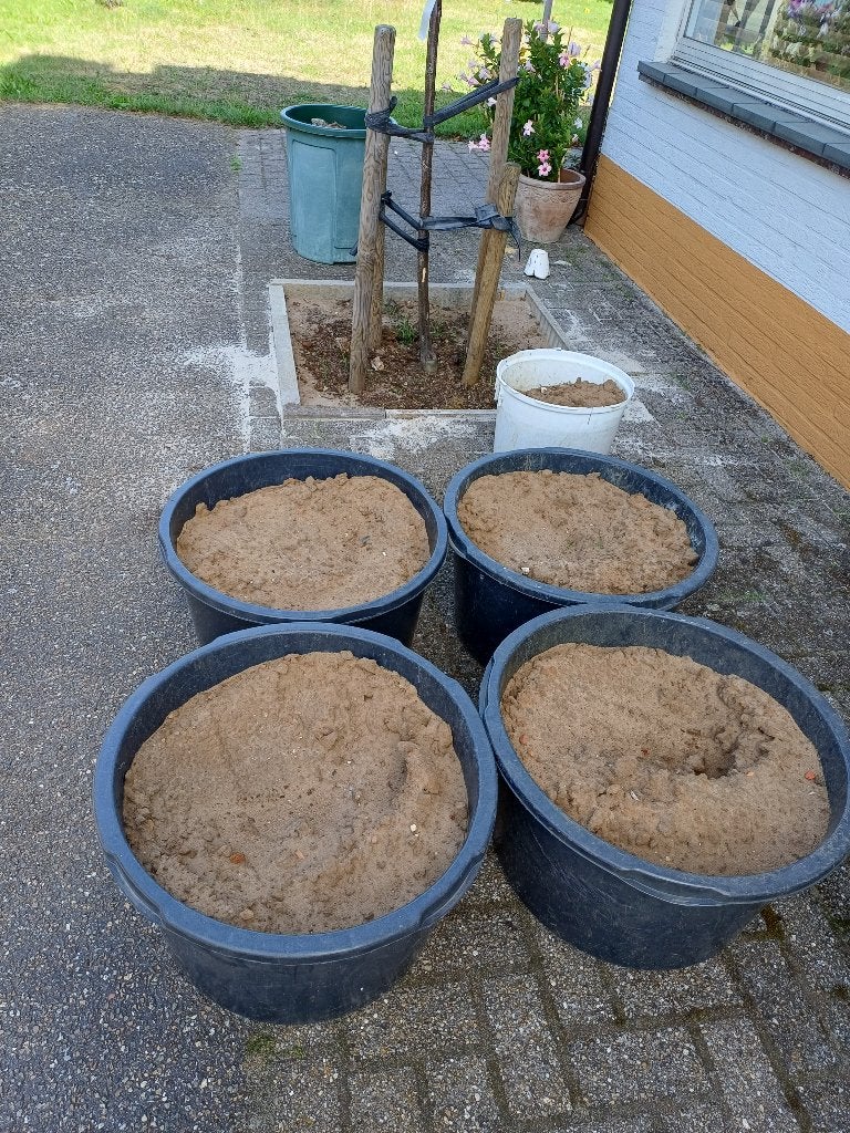 Gratis zand, Enlèvement