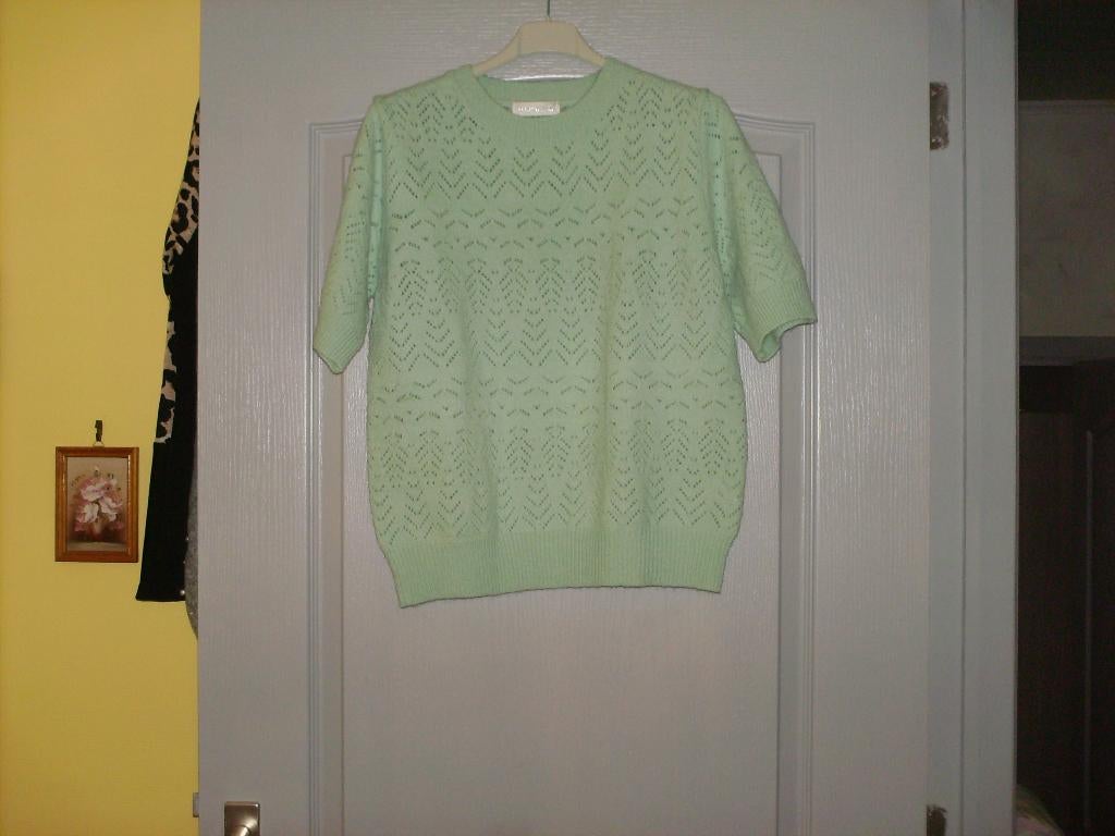 a vendre pull gilet pour dame, Enlèvement, Neuf, Taille 38/40 (M), Vert