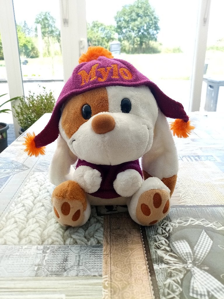 chien Mylo avec bonnet, Chien, Violet, Utilisé, Enlèvement