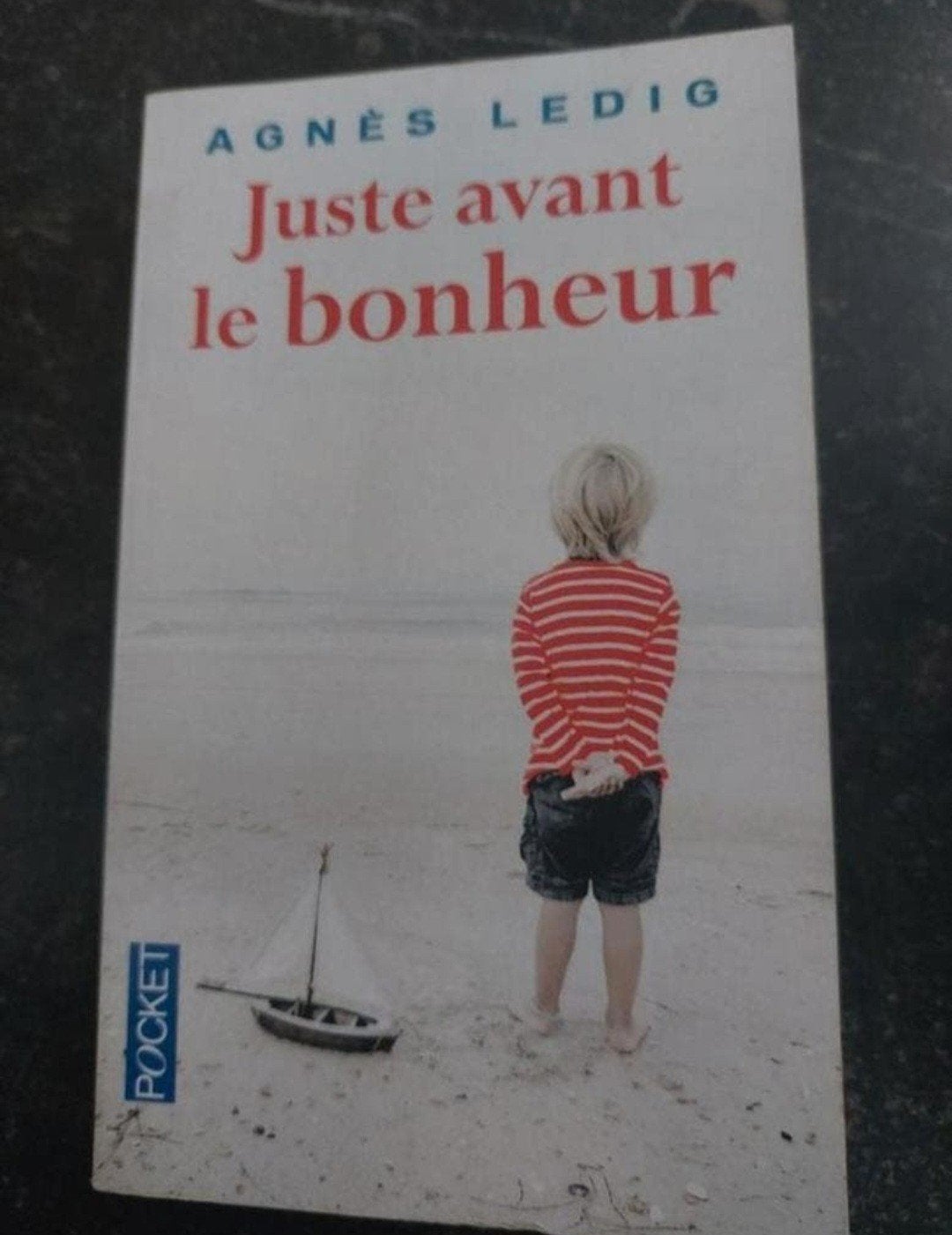 Juste avant le bonheur de Agnès Ledig, Boeken, Ophalen, Gelezen