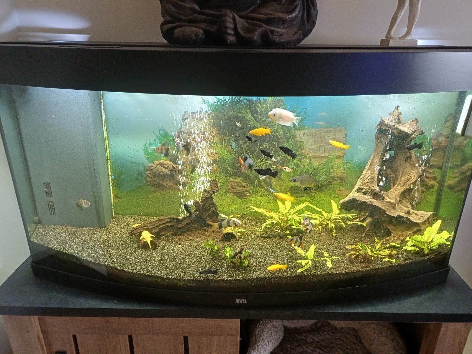 aquarium 120 op 60 op 60, Ophalen