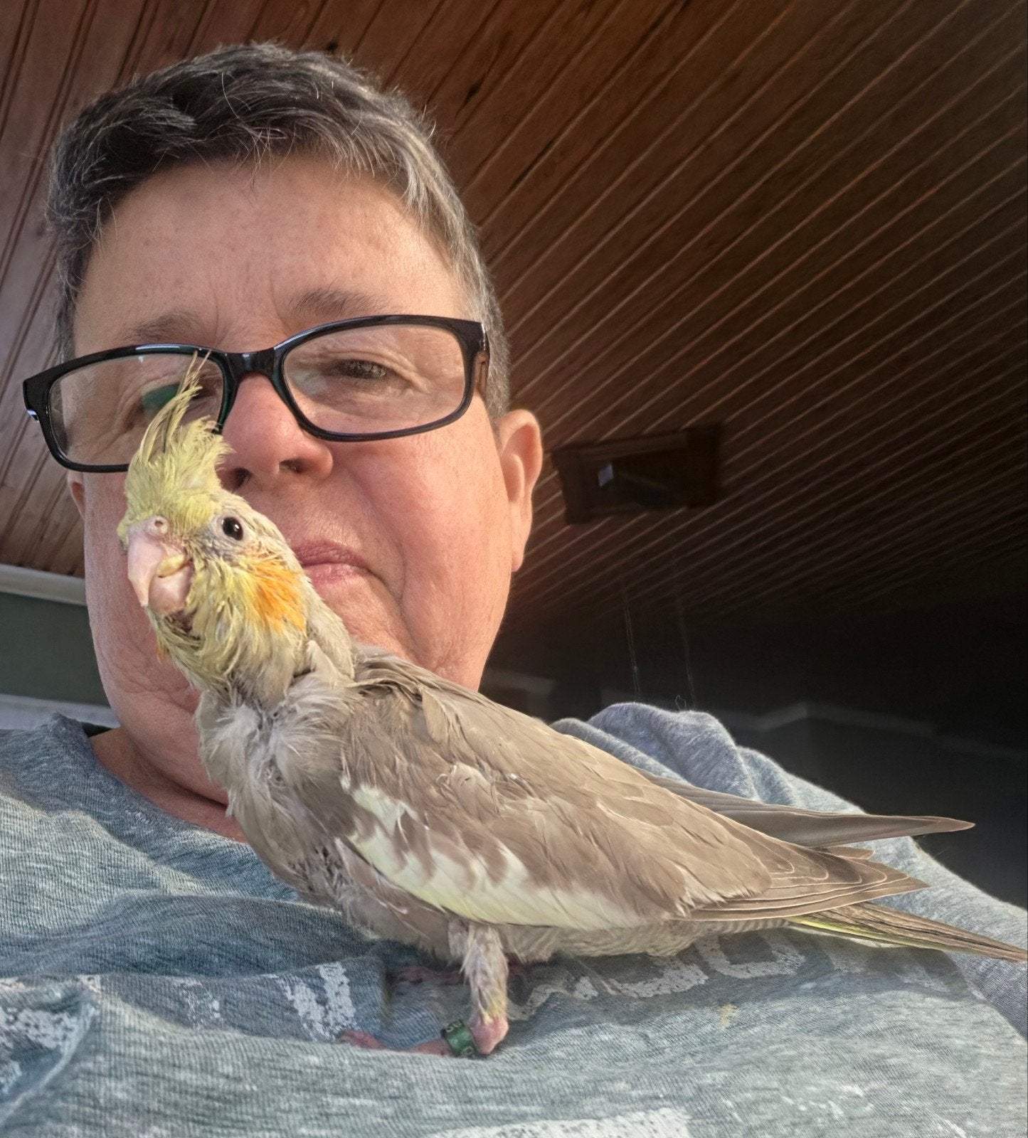 Lieve valkparkietjes poppen Cinnamon en Opaline en geringd, Dieren en Toebehoren, Vogels | Parkieten en Papegaaien, Parkiet, Vrouwelijk