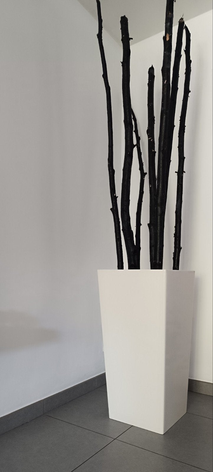 Witte plantenbak met zwarte berkentakken, Ophalen, Kunststof