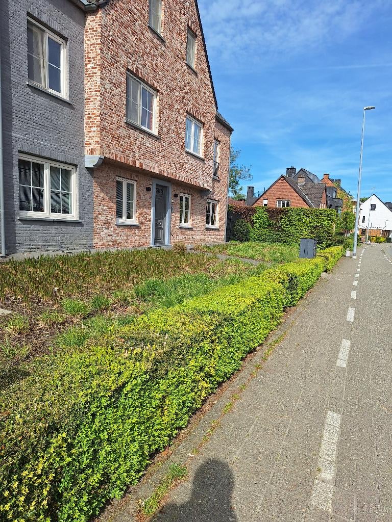 Appartement te huur, 50 m² ou plus, Anvers (ville)