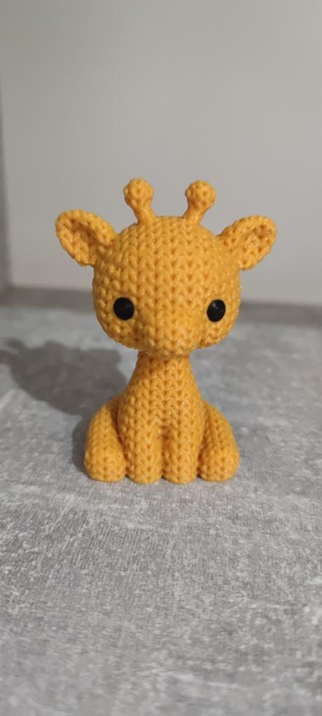 Girafe, Enlèvement