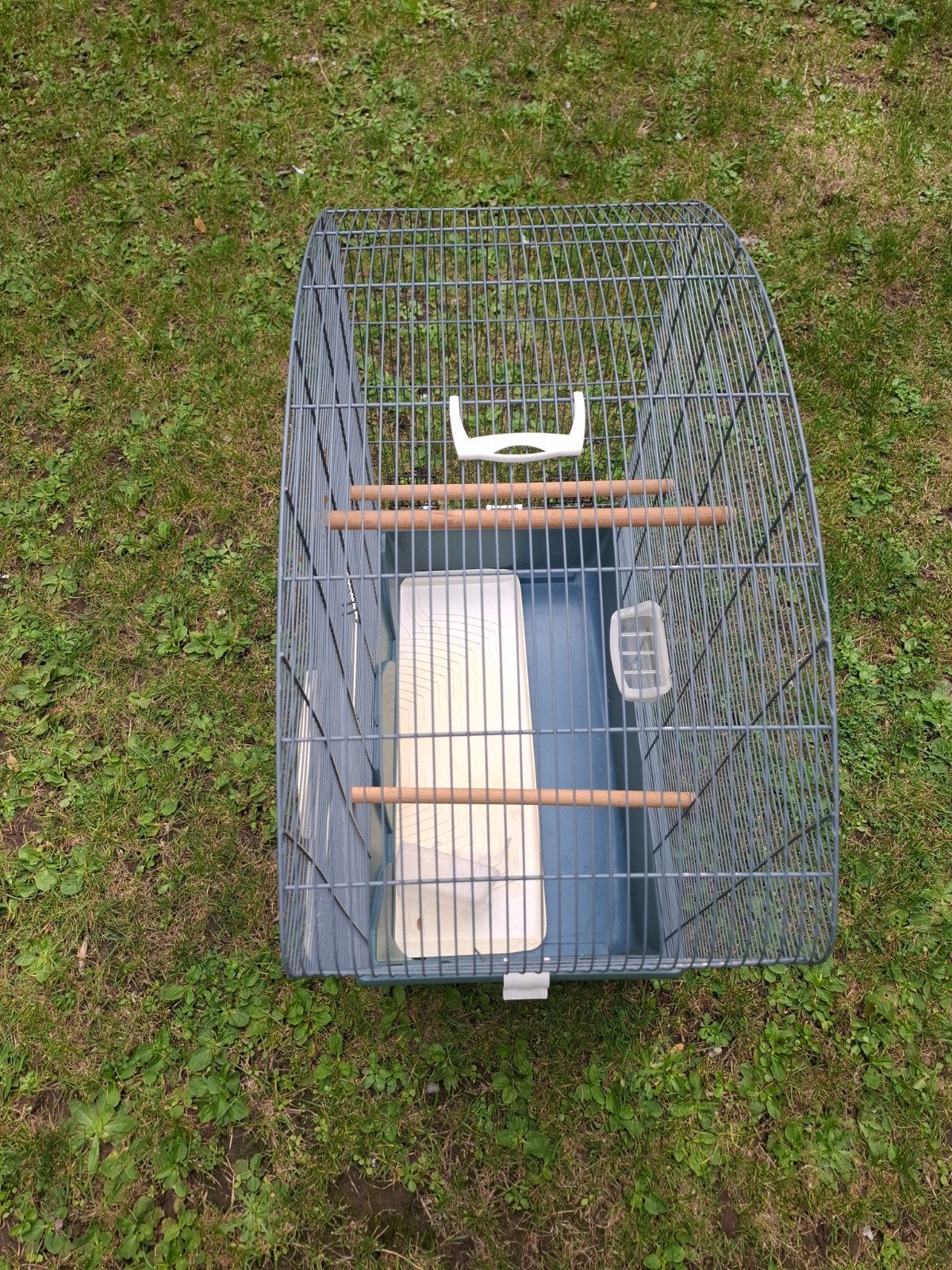 une grande cage pour oiseaux, Enlèvement ou Envoi