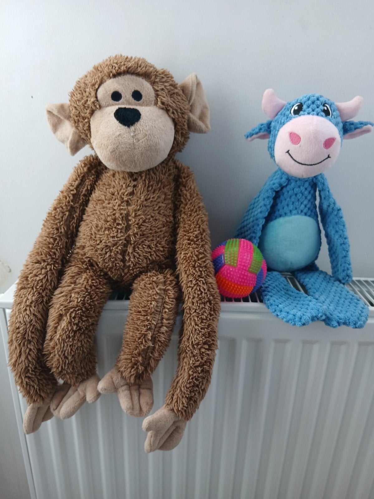 TRÈS BEL ENSEMBLE DE JOUETS POUR CHIENS AVEC BALLON, PARFAIT, Enlèvement ou Envoi, Neuf