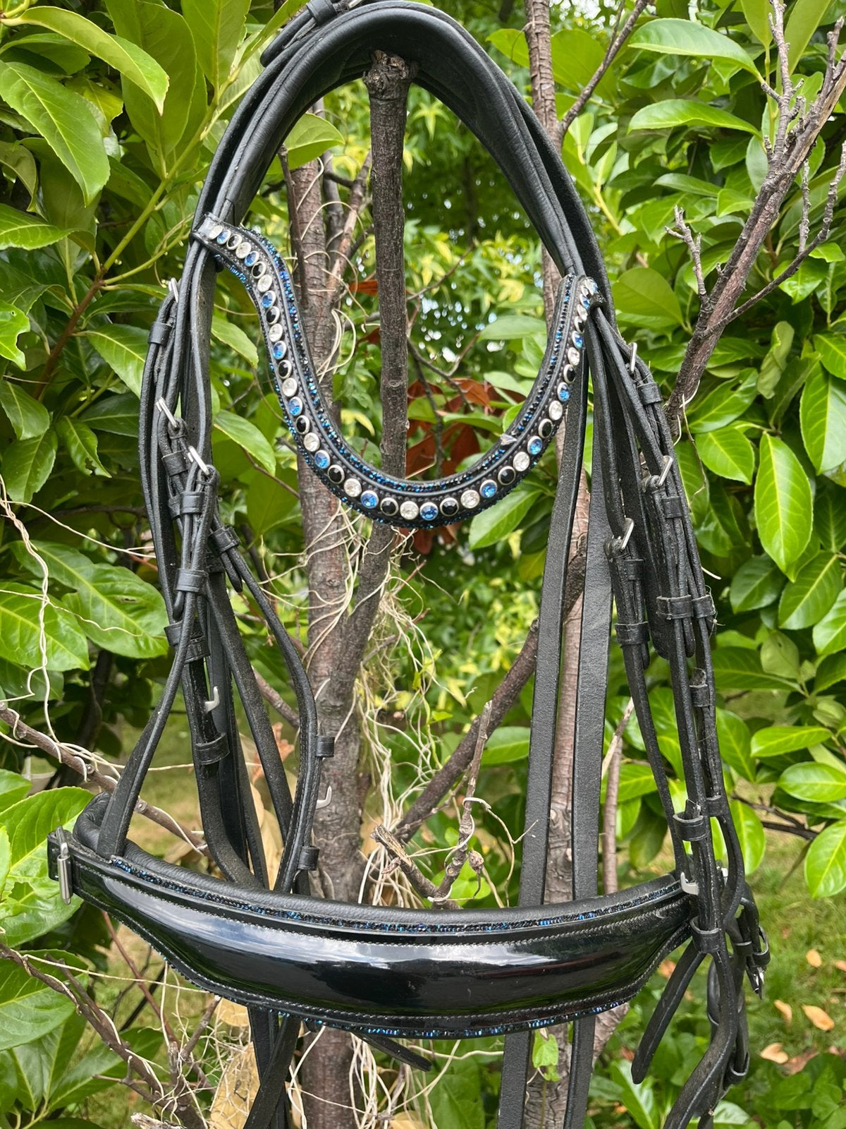 Dressuurhoofdstel, Hoofdstel, Ophalen of Verzenden, Cob, Zwart