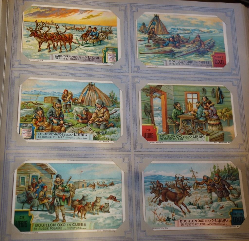 Set Liebig Prenten En Russie polaire (1928)., Collections, Photos & Gravures, Comme neuf, Gravure, Étranger, Avant 1940, Enlèvement ou Envoi