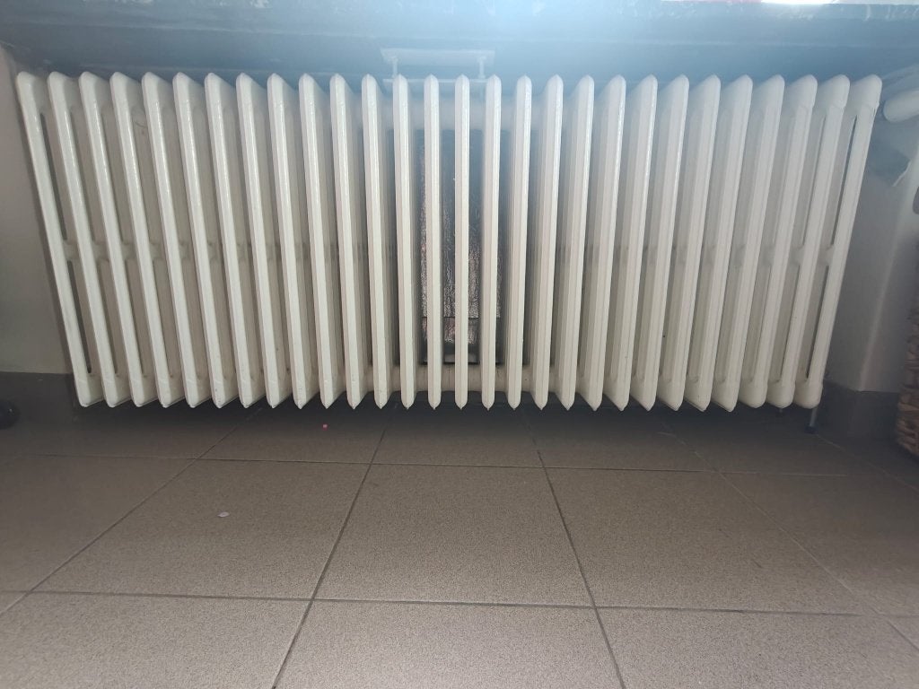 Gietijzeren radiator / verwarming, Ophalen, 30 tot 80 cm, Gebruikt, Radiator