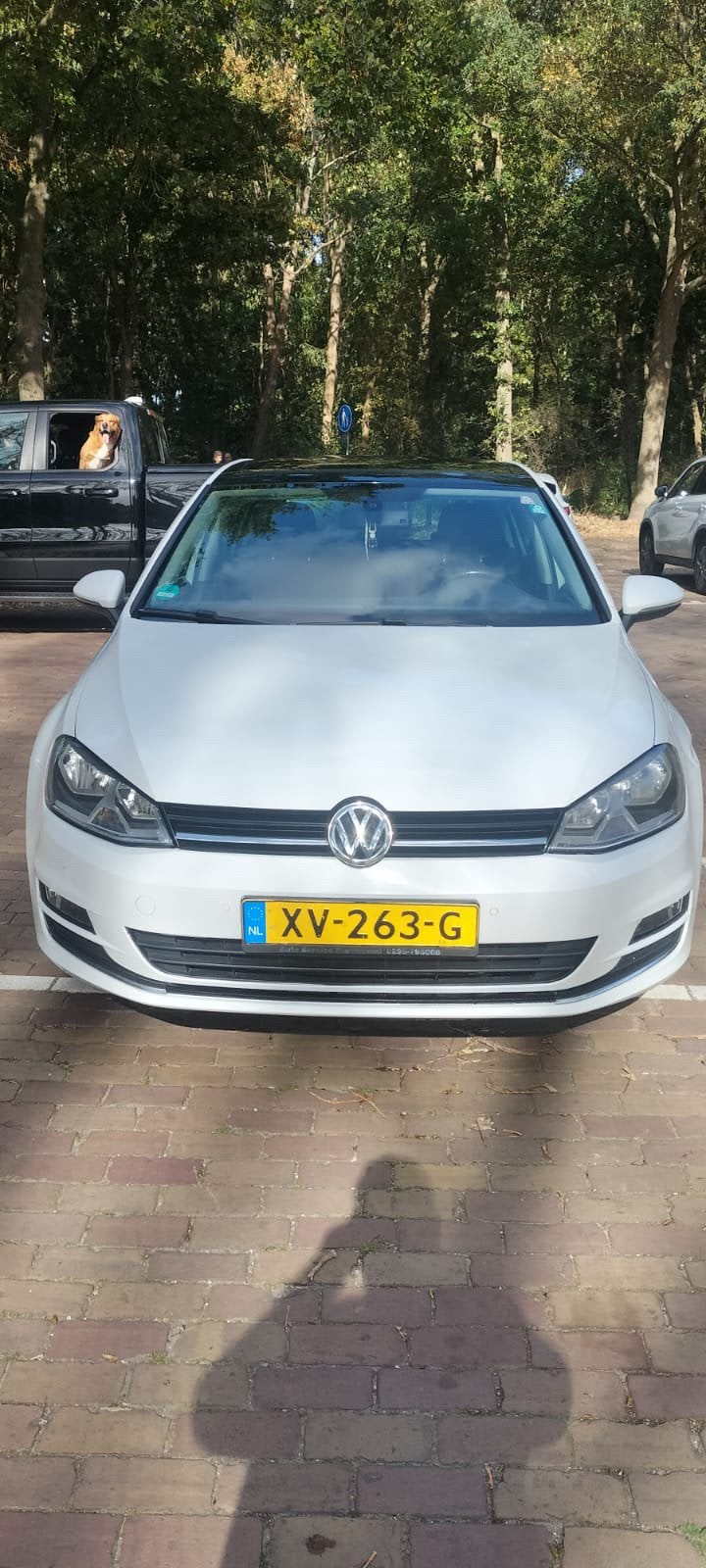 Volkswagen Golf 1.4 Tsi high line 2013, Voorwielaandrijving, Stof, Handgeschakeld, 5 deurs