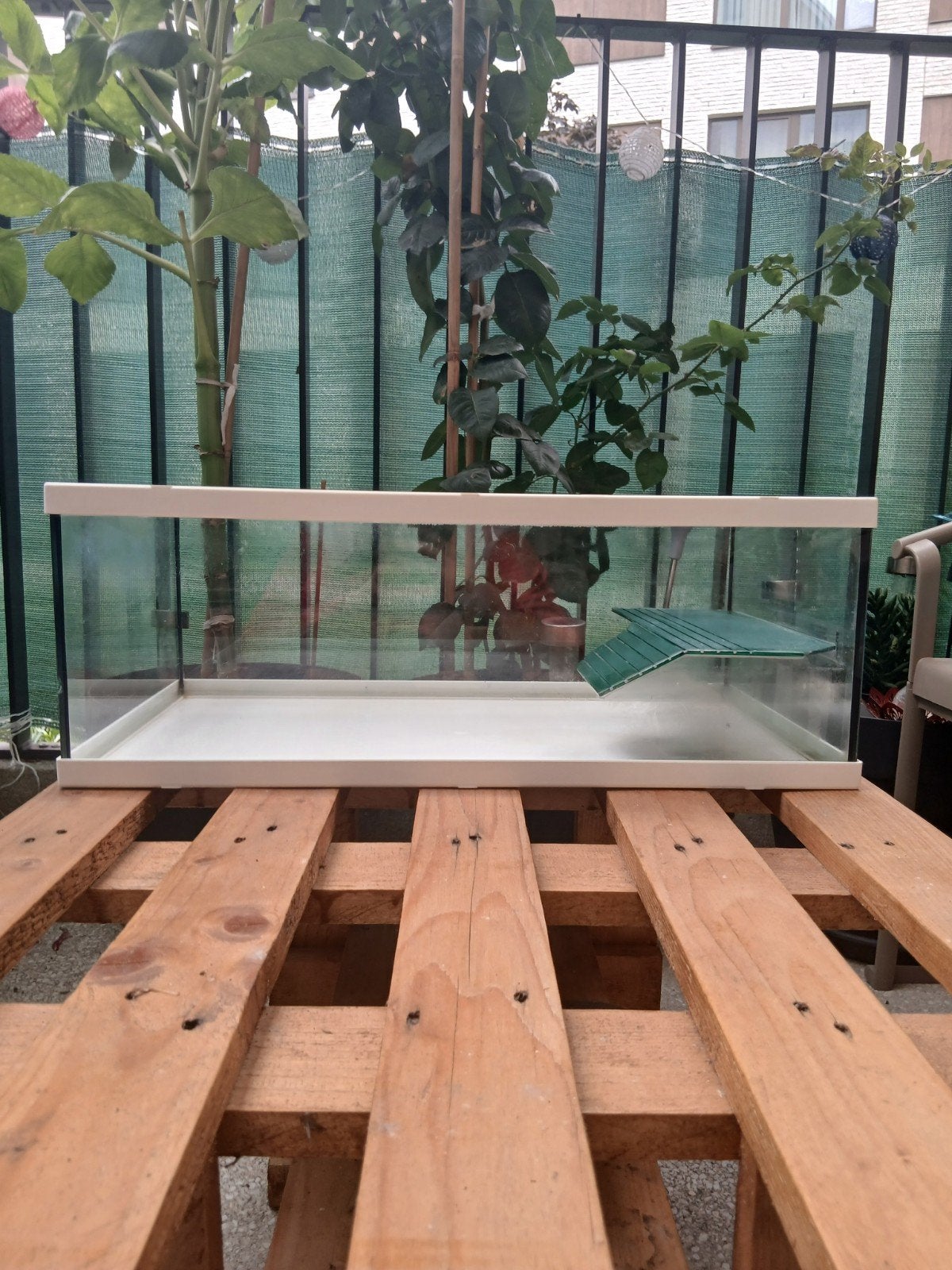 aquarium a ventre utiliser, Animaux & Accessoires, Enlèvement, Utilisé, Aquatlantis