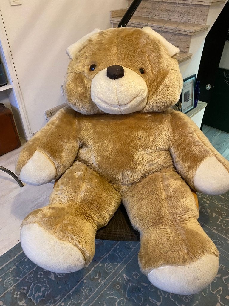 Grote teddybeer (goed verzorgd), Enlèvement, Utilisé, Ours en tissus