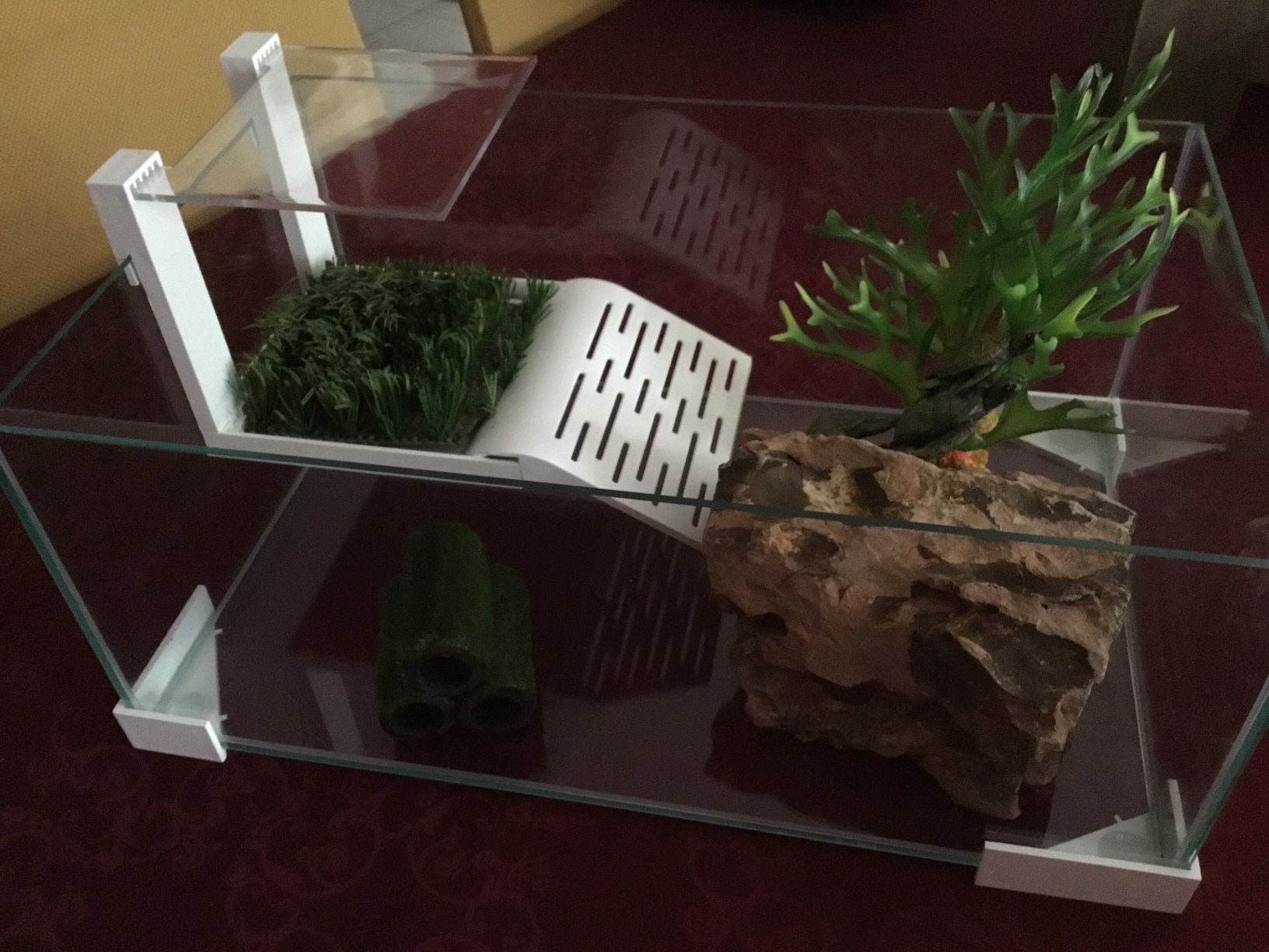Aquarium voor schildpad of vissen 25€, Dieren en Toebehoren, Ophalen, Zo goed als nieuw