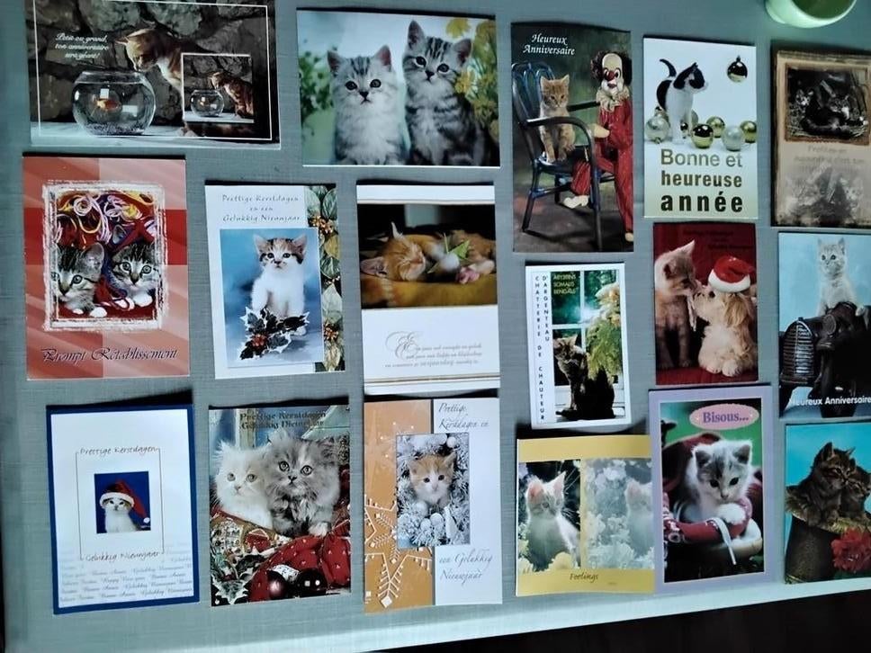 Cartes postales avec des chats (17), Collections, Cartes postales | Animaux, Enlèvement ou Envoi, 1980 à nos jours, Chien ou Chat