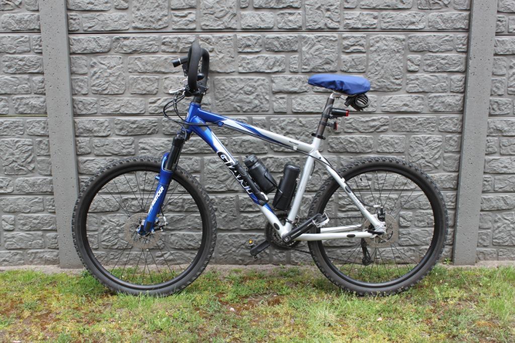 Géant - Terrago, 26 pouces, 49 à 53 cm, Enlèvement, Plus de 20 vitesses