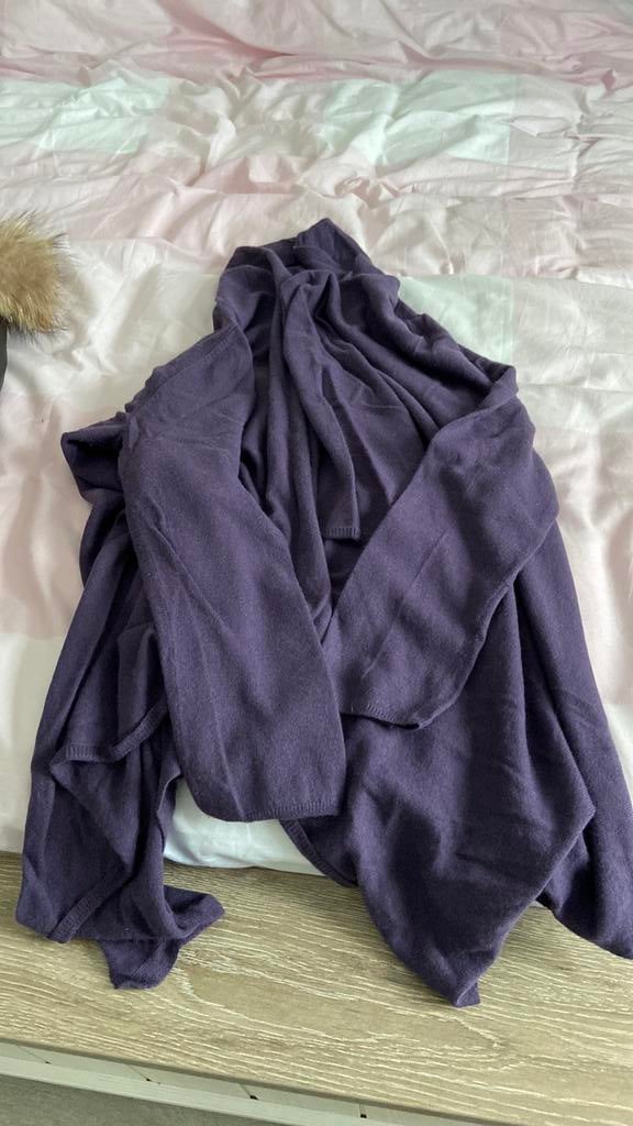 Speciale gilet Pauline B paars maat Xl, Kleding | Dames, Ophalen of Verzenden, Zo goed als nieuw, Maat 46/48 (XL) of groter, Paars