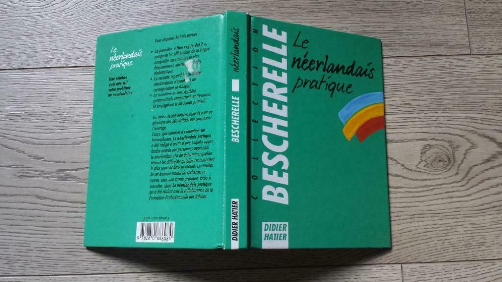 Le Néerlandais pratique - Didier Hatier, Livres, Livres scolaires, Enlèvement ou Envoi, Utilisé, Néerlandais