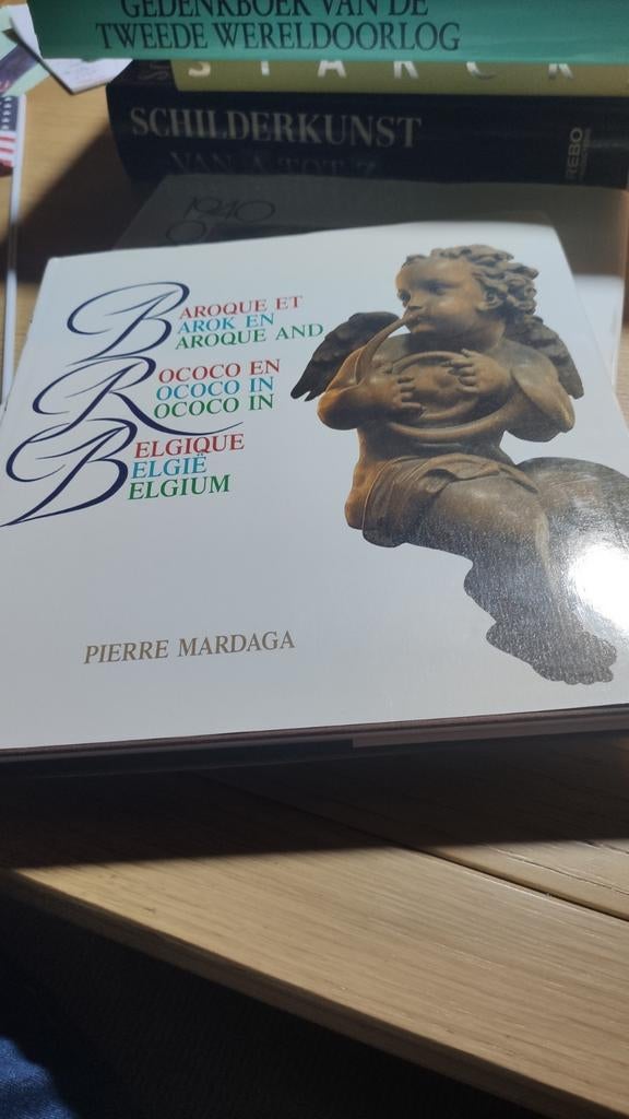 Barok en Rococo in België. Drietalig boek(NL,F,GB), Ophalen of Verzenden, Gelezen