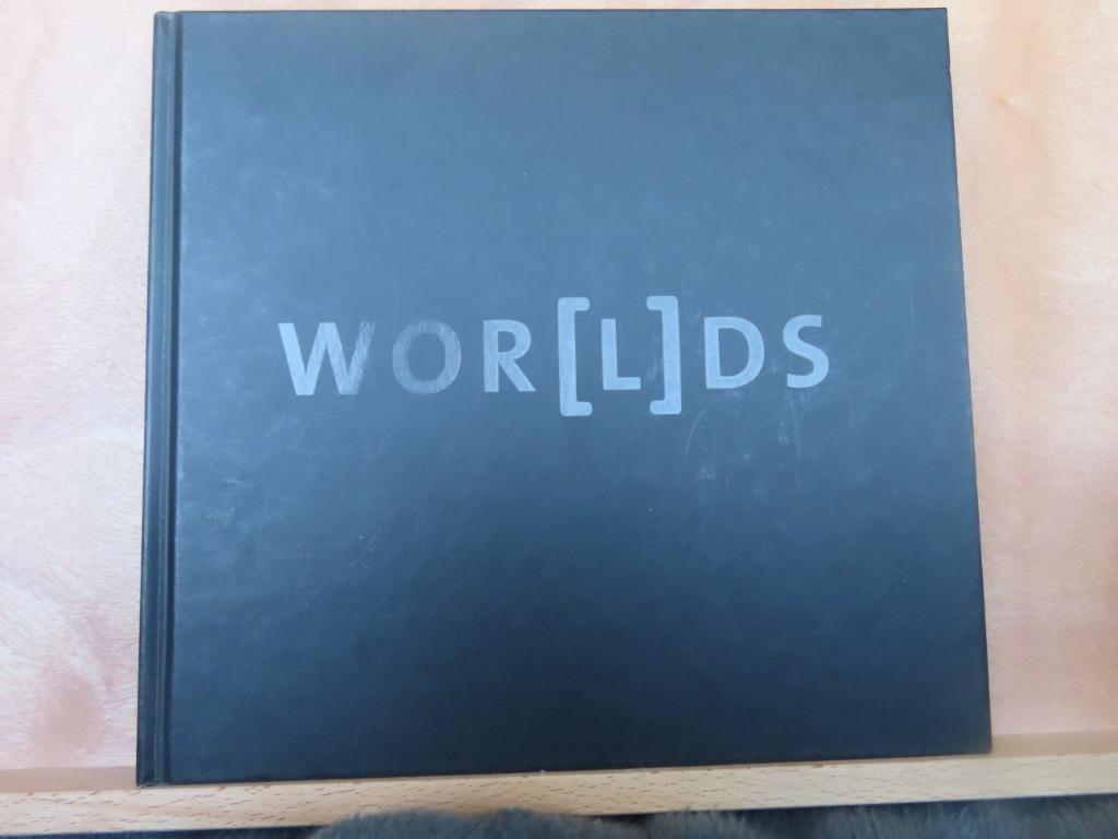 Wor(l)ds / Stenen - Kurt Van Eeghem, Maud Bekaert, Boeken, Kunst en Cultuur | Beeldend, Zo goed als nieuw, Beeldhouwkunst, Ophalen of Verzenden