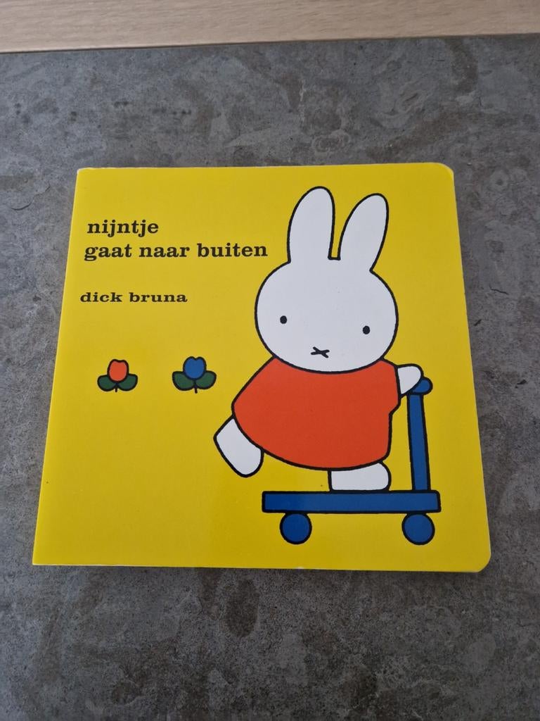 Nijntjesboek, Enlèvement