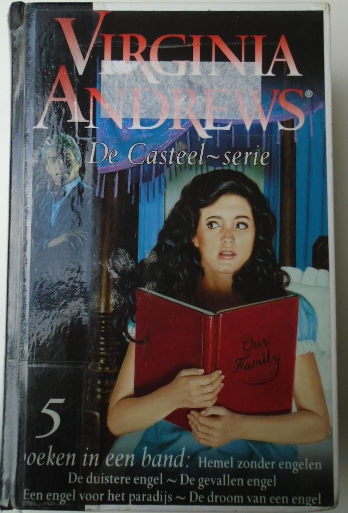 DE CASTEEL- SERIE 5 IN 1 9789032506315, Enlèvement ou Envoi, Utilisé, Pays-Bas