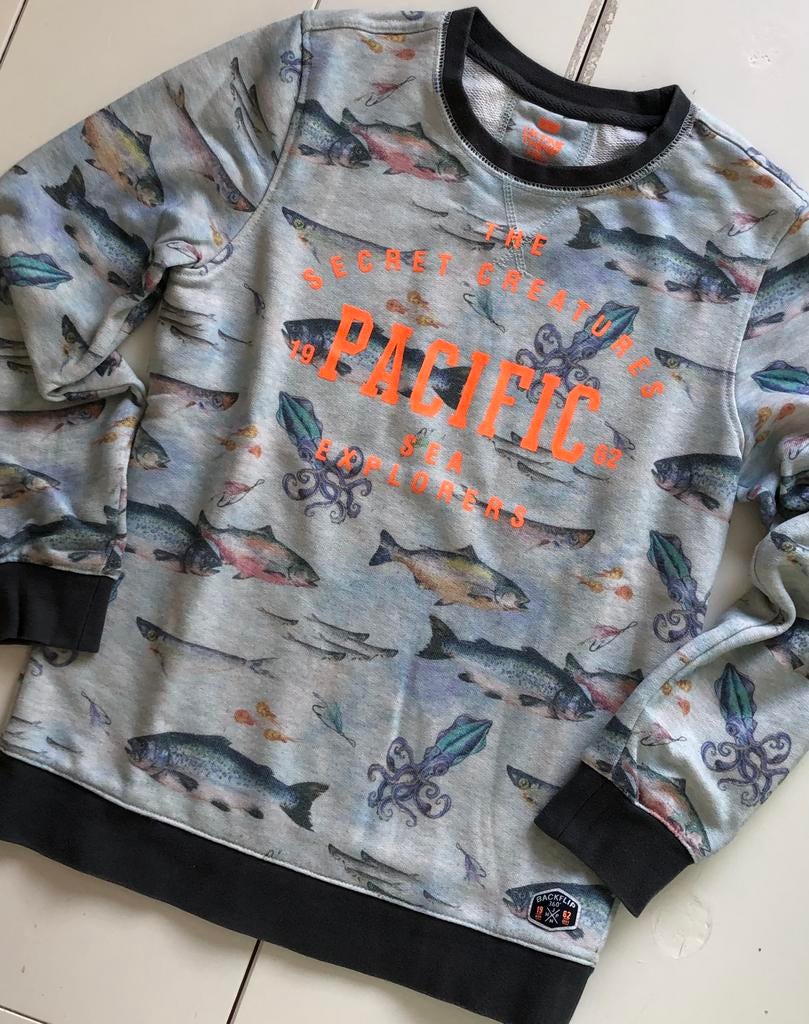 pull pêche WE 146 152 pull poissons, Garçon, WE, Enlèvement ou Envoi, Pull ou Veste