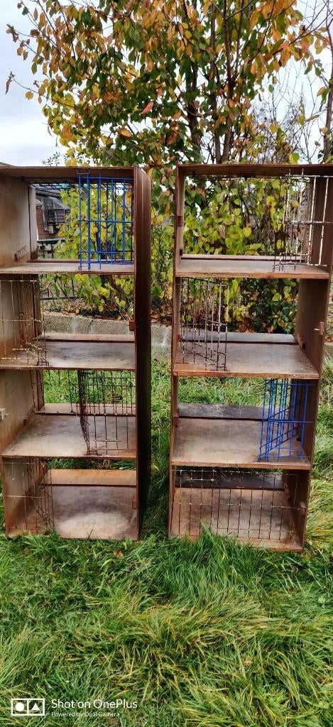 Casiers loges pour pigeons, Enlèvement, Utilisé, Bois, Cage d'élevage