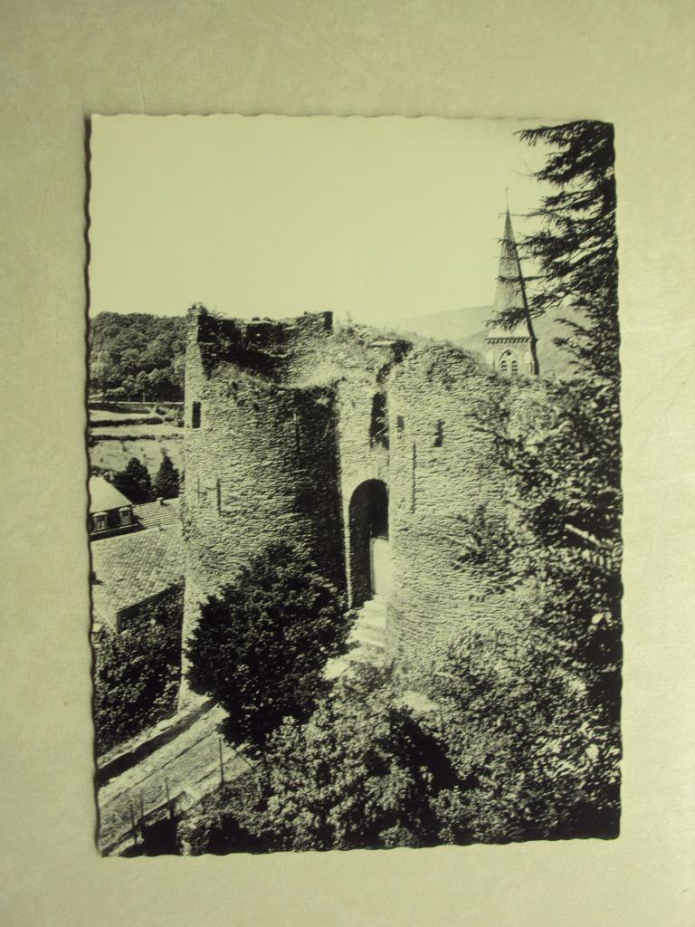 48253 - LA ROCHE EN ARDENNE - ENTREE DU VIEUX CHATEAU, Verzenden