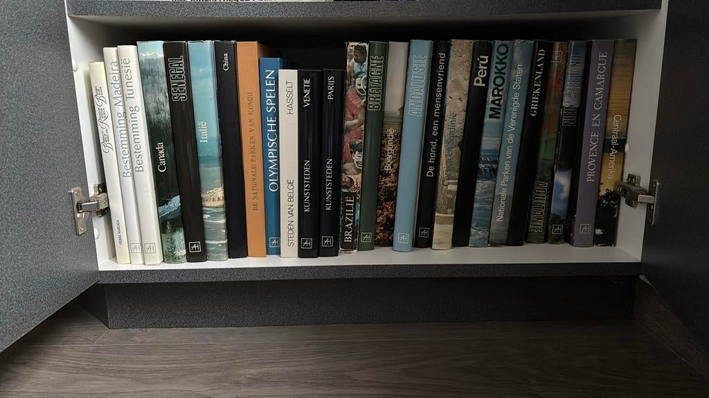Artis historia boeken, Enlèvement, Utilisé, Histoire et Politique
