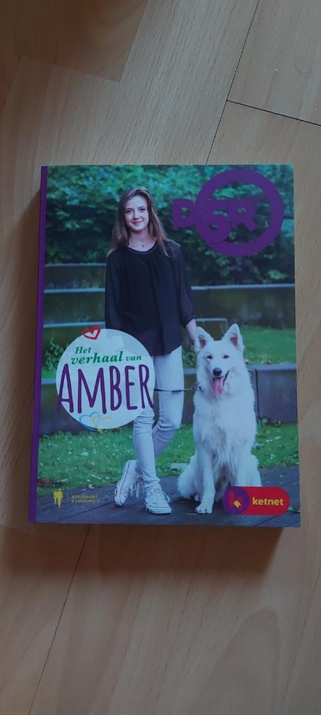 D5R : 4 boekjes, Boeken, Ophalen, Zo goed als nieuw, Jan van Ruysbergh, Fictie