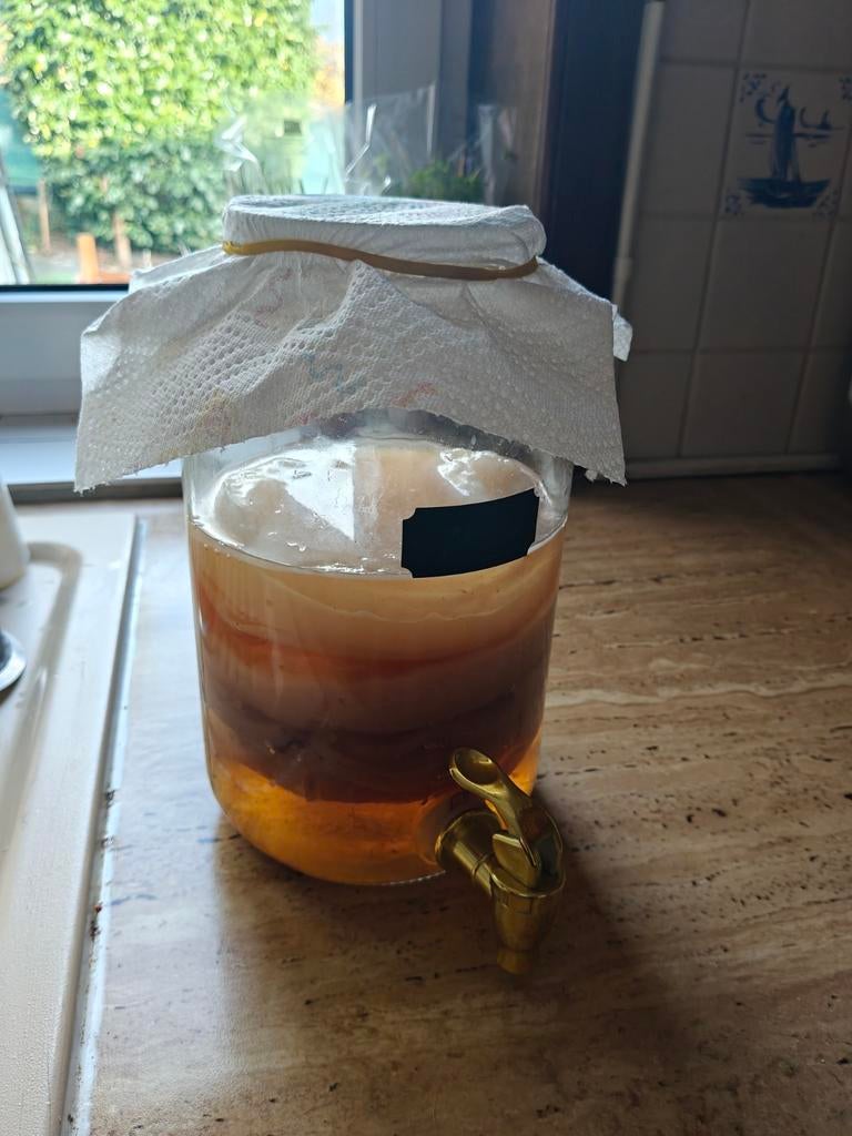 Mère de kombucha à donner, Enlèvement