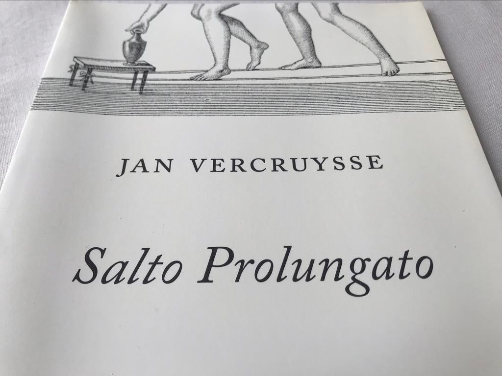 Jan Vercruysse Salto Prolongé 40 pages, Enlèvement ou Envoi, Comme neuf, Peinture et dessin